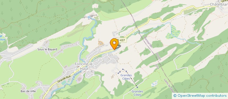 localisation de l'entreprise EMS FRANCE  FONCINE-LE-HAUT