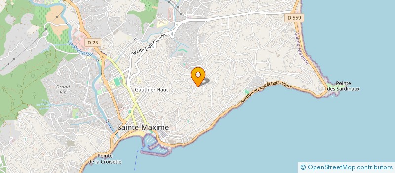 localisation de l'entreprise EMSY à SAINTE-MAXIME