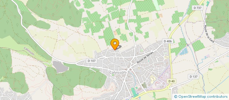 localisation de l'entreprise EMYOTT  CALVISSON