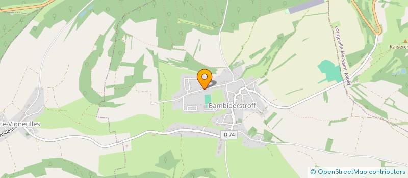 localisation de l'entreprise EN DIRECT à BAMBIDERSTROFF