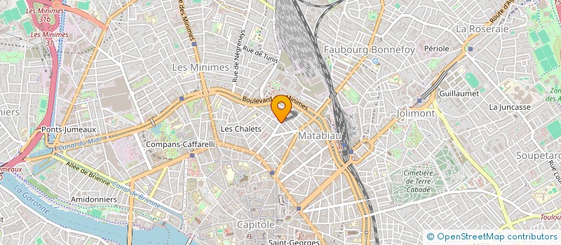 localisation de l'entreprise EN TEMOGNAGE D'HUMANITE à TOULOUSE