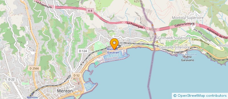 localisation de l'entreprise ENDYMION  MENTON