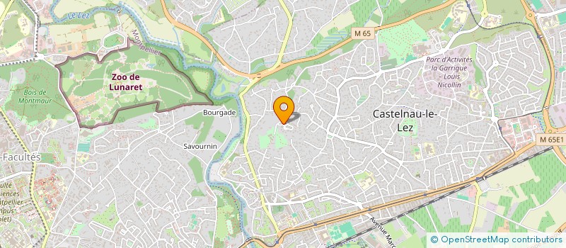 localisation de l'entreprise ENEA à CASTELNAU-LE-LEZ
