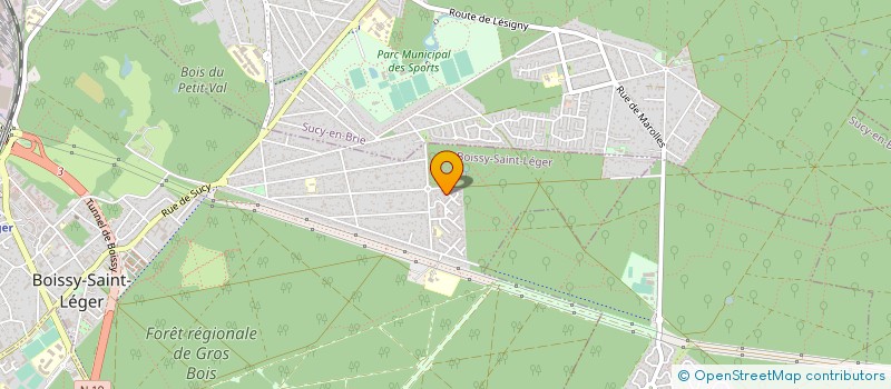 localisation de l'entreprise ENEA SOLUTIONS à BOISSY-SAINT-LEGER