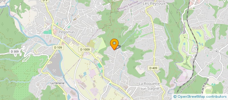 localisation de l'entreprise ENGINE SERVICE à LA ROQUETTE-SUR-SIAGNE