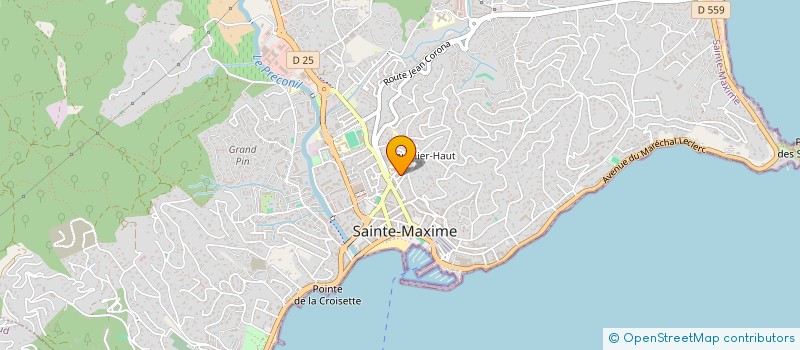 localisation de l'entreprise ENSEMBLE SUR LA ROUTE, UNIS CONTRE LE CANCER à SAINTE-MAXIME