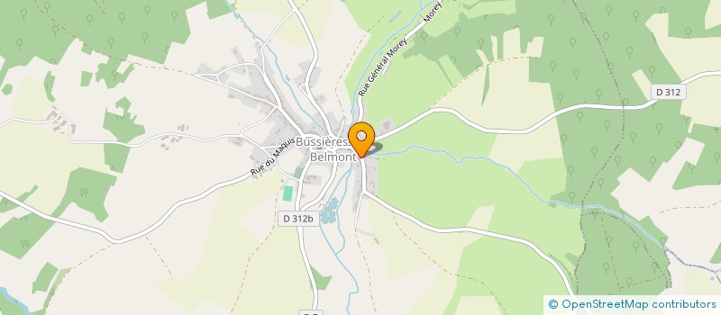 localisation de l'entreprise ENTENTE SPORTIVE BUSSIERES POINSON à CHAMPSEVRAINE