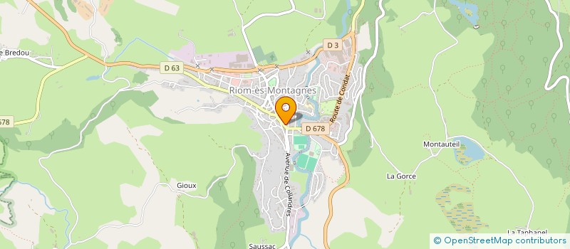 localisation de l'entreprise ENTENTE STADE RIOMOIS-CONDAT à RIOM-ES-MONTAGNES