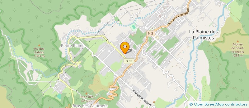 localisation de l'entreprise ENTR TRANSPORTS TRAVAUX PUBLICS DE L'EST  LA PLAINE DES PALMISTES