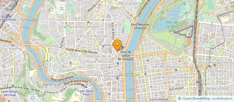 localisation de l'entreprise ENTREPRISE BUEMI LUQUET à LYON