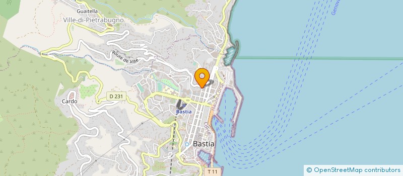 localisation de l'entreprise ENTREPRISE DE TRAVAIL TEMPORAIRE D'INSERTION DE LA CORSE à BASTIA