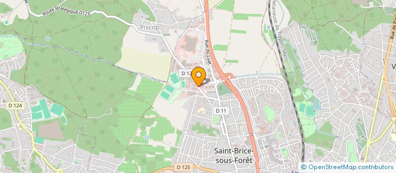 localisation de l'entreprise ENTREPRISE J. ET P. MICHELON à SAINT-BRICE-SOUS-FORET