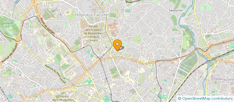 localisation de l'entreprise ENTREPRISE MIMOUNE à MONTPELLIER