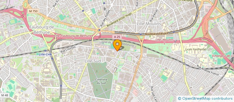localisation de l'entreprise ENTREPRISE OUVERTE à LILLE