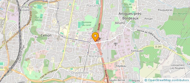 localisation de l'entreprise ENTREPRISE PUYAU EDDIE  CENON