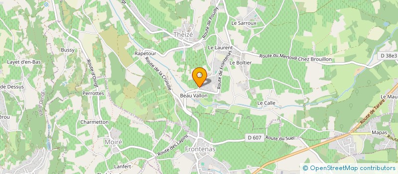 localisation de l'entreprise ENTREPRISE RENE GENEVOIS à THEIZE