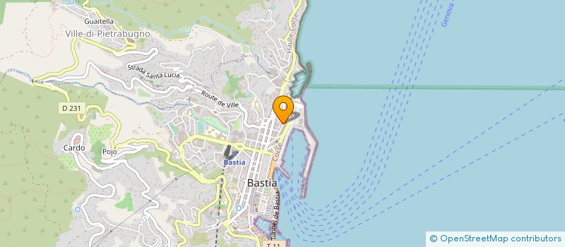 localisation de l'entreprise ENTREPRISE SECURITE SERVICE EXPRESS à BASTIA