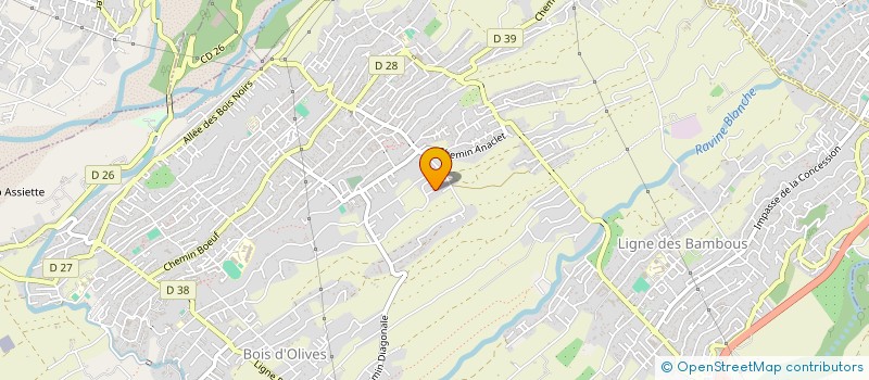localisation de l'entreprise ENVIRORUN à SAINT-PIERRE