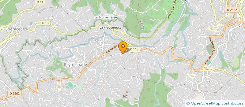 localisation de l'entreprise ENZ'AUTO  PEYMEINADE