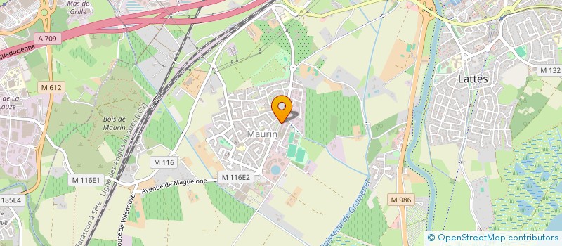 localisation de l'entreprise ENZOMARLONE à LATTES