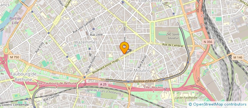 localisation de l'entreprise EOWEO à LILLE