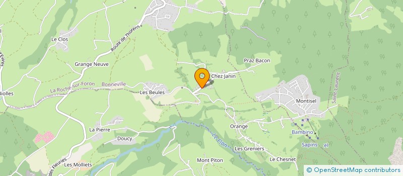 localisation de l'entreprise EP IMMO  LA ROCHE-SUR-FORON