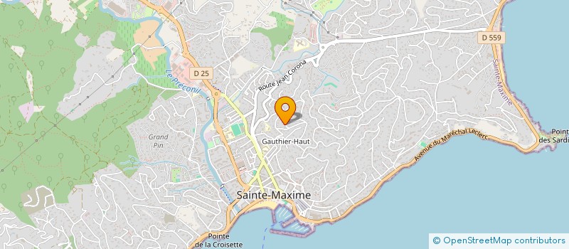 localisation de l'entreprise EPAGNEUL  SAINTE-MAXIME