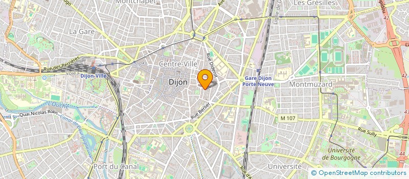 localisation de l'entreprise EPIC DRAGONFLY à DIJON