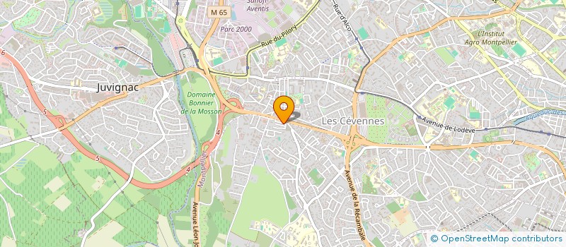 localisation de l'entreprise EPICERIE CASABLANCA à MONTPELLIER
