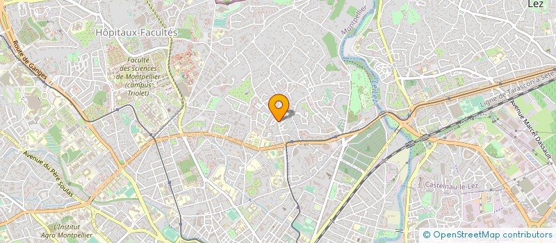 localisation de l'entreprise EPICERIE D'AIGUELONGUE à MONTPELLIER