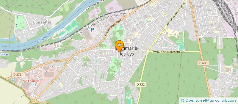 localisation de l'entreprise EPICERIE DE LYS à DAMMARIE-LES-LYS