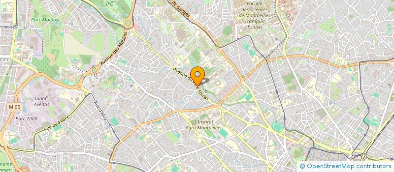 localisation de l'entreprise EPICERIE DU PERE SOULAS à MONTPELLIER