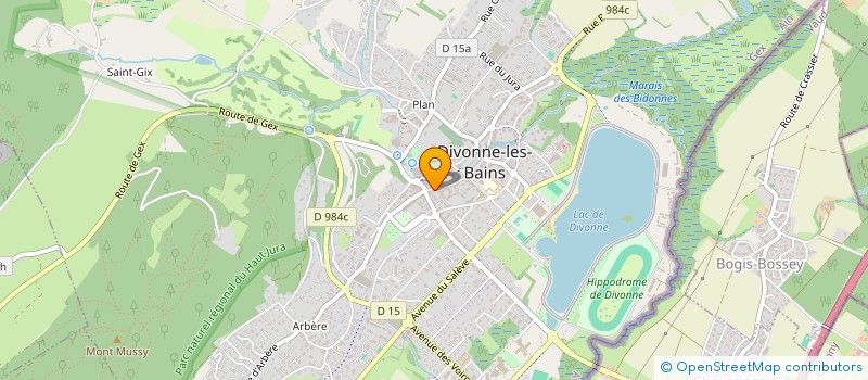 localisation de l'entreprise EPICERIE PACCAUD NADEGE  DIVONNE-LES-BAINS