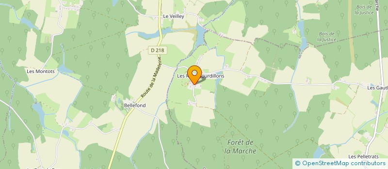 localisation de l'entreprise EQUI'COURSE  DICONNE