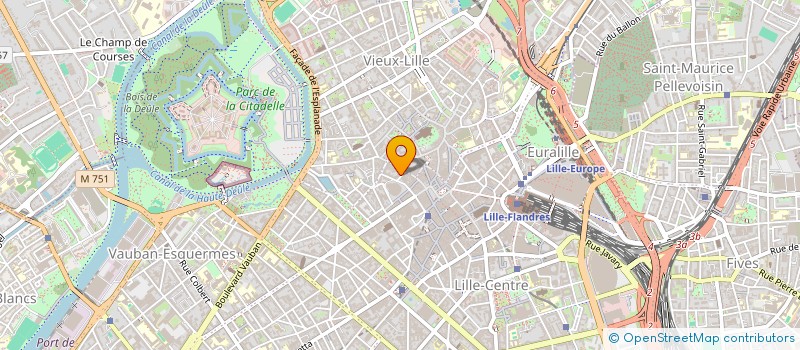 localisation de l'entreprise ERIGO CONSEIL à LILLE
