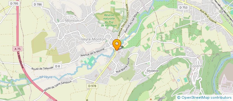 localisation de l'entreprise ERINE DISTRI  VEYRE-MONTON