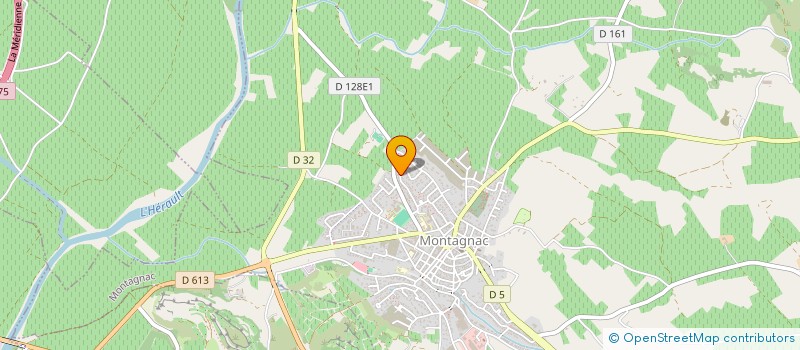 localisation de l'entreprise ESD  MONTAGNAC