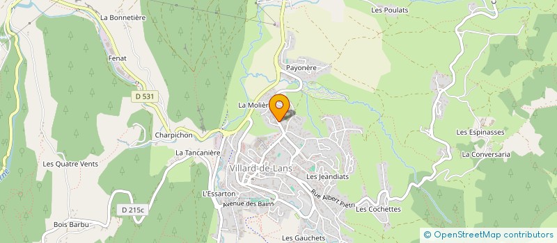 localisation de l'entreprise ESPACE AMBULANCE DU VERCORS  VILLARD-DE-LANS