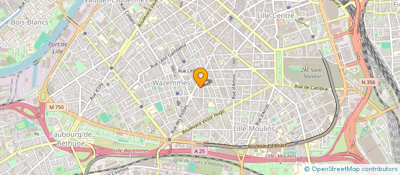 localisation de l'entreprise ESPACE DE VIE à LILLE
