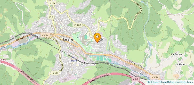 localisation de l'entreprise ESPACE FITNESS à TARARE