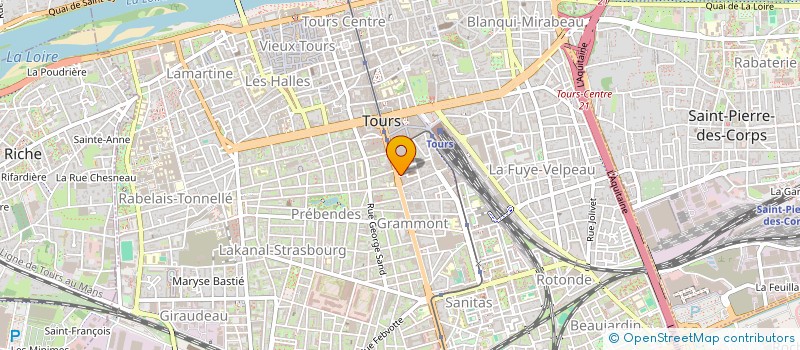 localisation de l'entreprise ESPACE FLEURS à TOURS