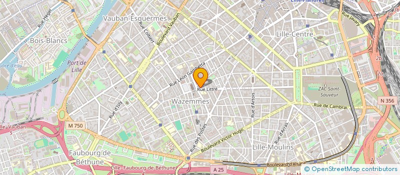 localisation de l'entreprise ESPACE GOURMAND à LILLE
