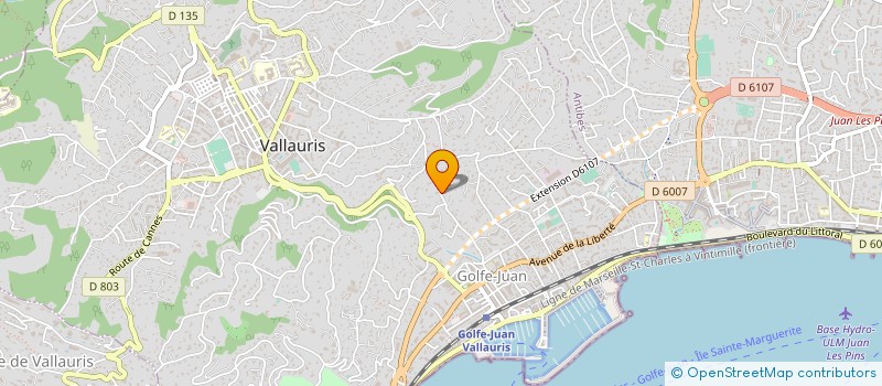 localisation de l'entreprise ESPACE NAD  VALLAURIS