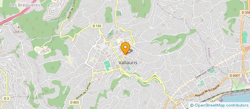 localisation de l'entreprise ESPACE PNEUS  VALLAURIS