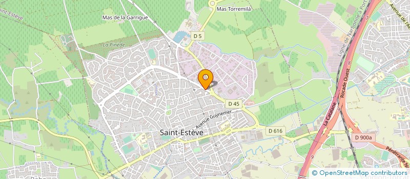 localisation de l'entreprise ESPACE REGUANT à SAINT-ESTEVE
