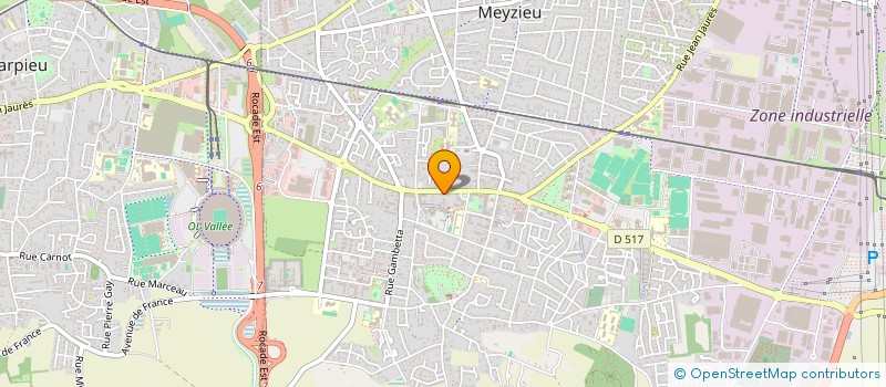 localisation de l'entreprise ESPACE SANTE DES LUMIERES  MEYZIEU