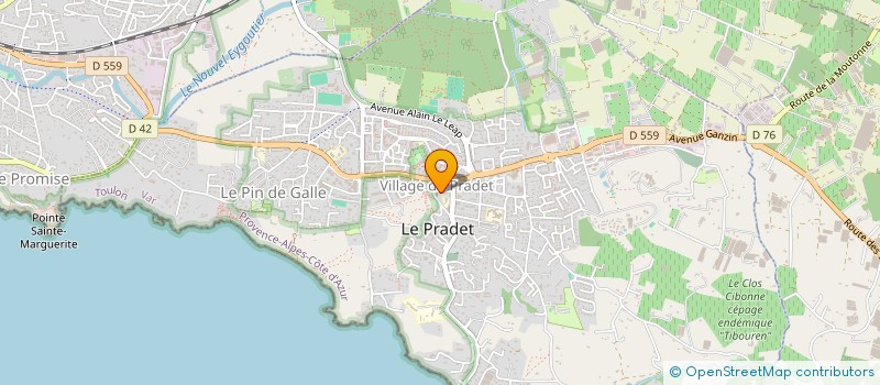 localisation de l'entreprise ESPACE SANTE KINE à LE PRADET
