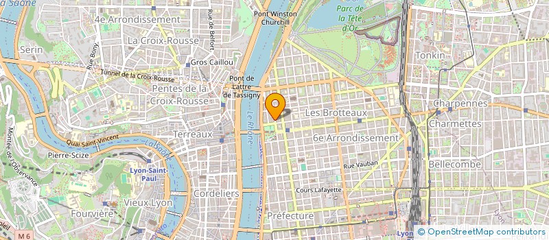 localisation de l'entreprise ESPACE SAVEUR AU 215  LYON