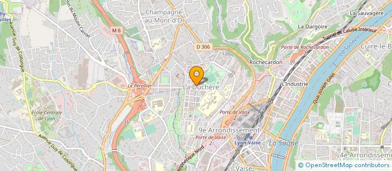 localisation de l'entreprise ESPACE SENIORS DUCHERE (ESD)  LYON