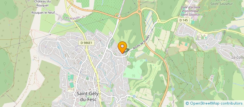 localisation de l'entreprise ESPACE SERVICE à SAINT-GELY-DU-FESC